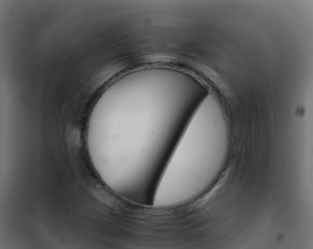 X0000102481209200808081025