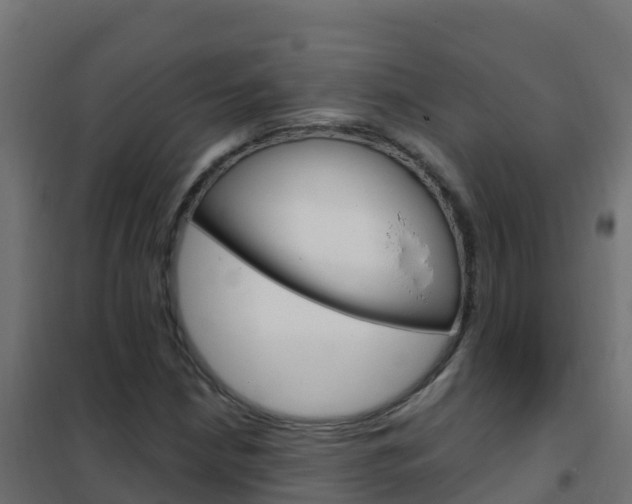 X0000102481210200808081025