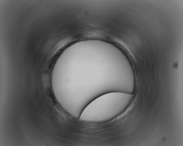 X0000102481211200808081025