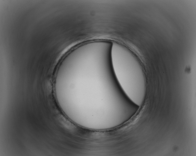 X0000102481212200808081025