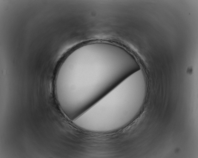 X0000102481214200808081025