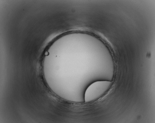 X0000102481215200808081025