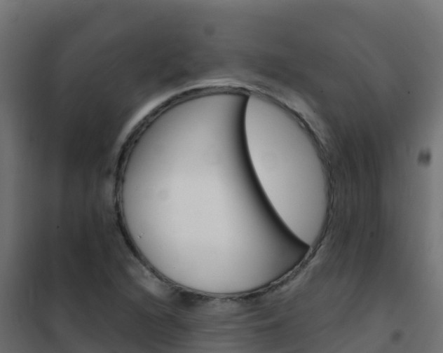 X0000102481216200808081025
