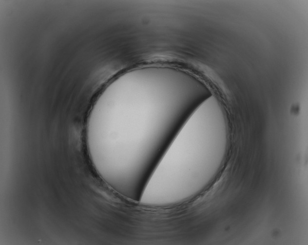 X0000102481217200808081025