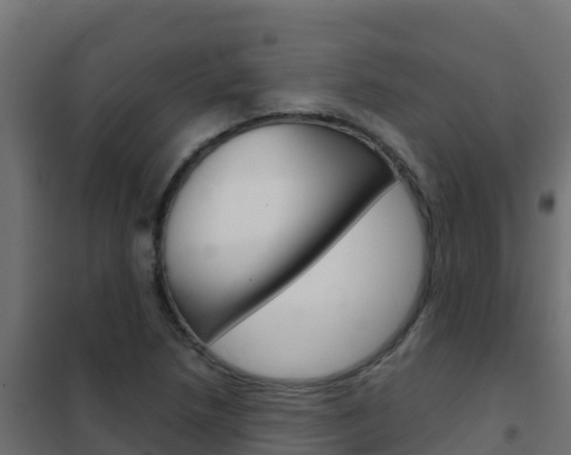 X0000102481218200808081025