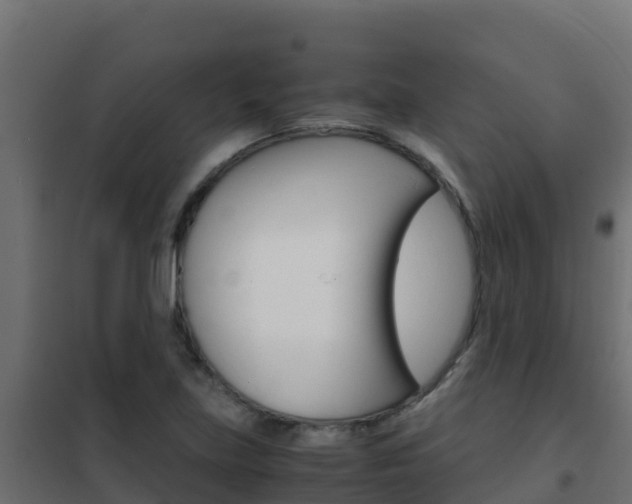 X0000102481219200808081025