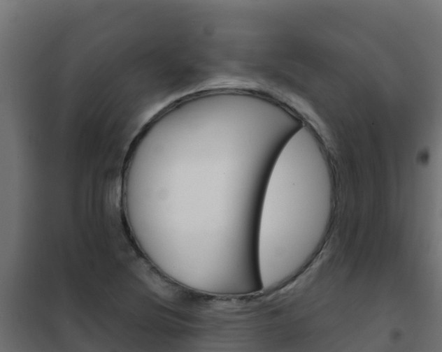 X0000102481220200808081025