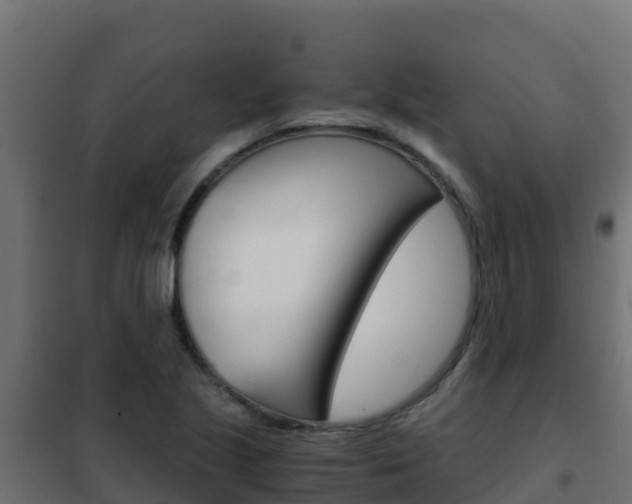 X0000102481221200808081025