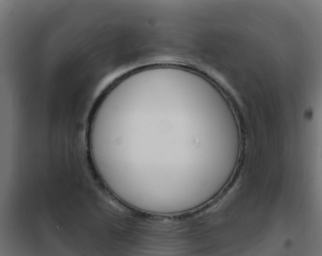X0000102481222200808081025