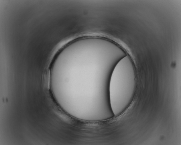 X0000102481223200808081025
