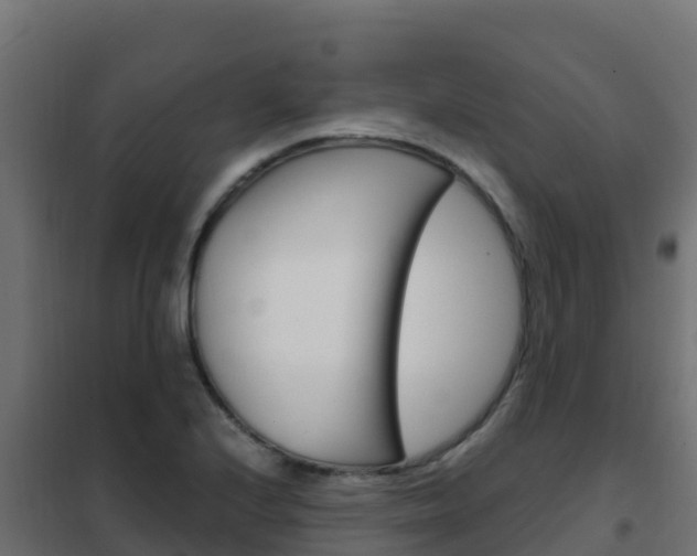 X0000102481224200808081025