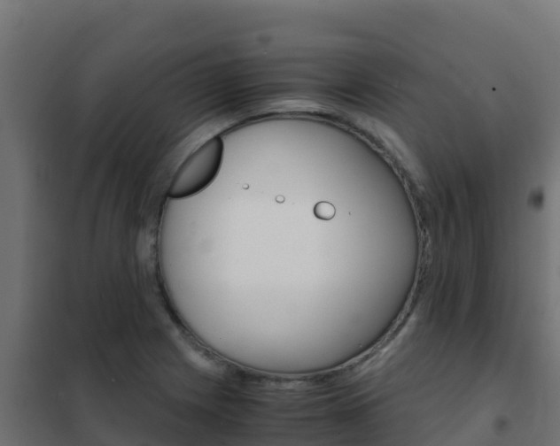 X0000102481225200808081025