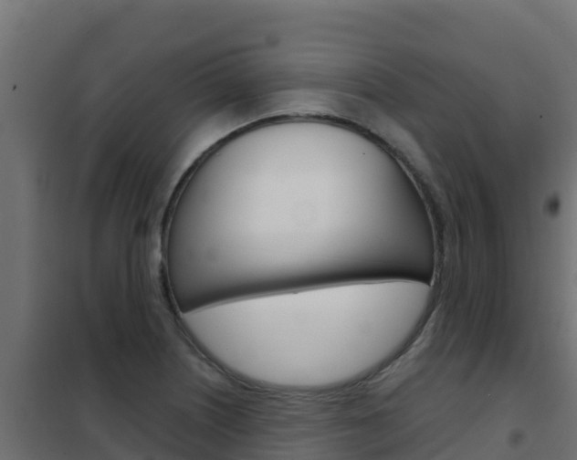 X0000102481226200808081025