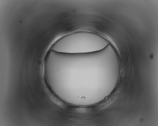 X0000102481227200808081025