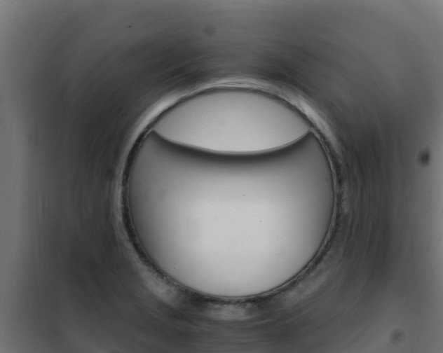 X0000102481229200808081025