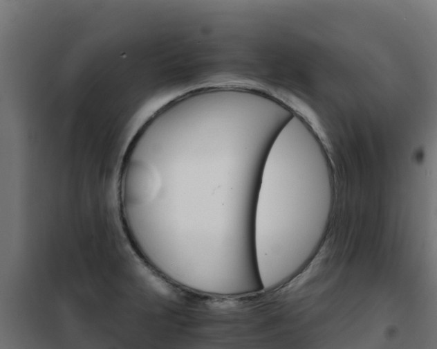X0000102481231200808081025