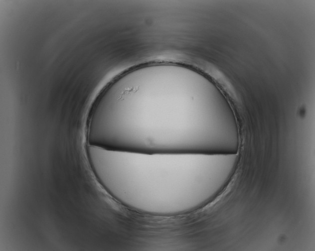 X0000102481232200808081025