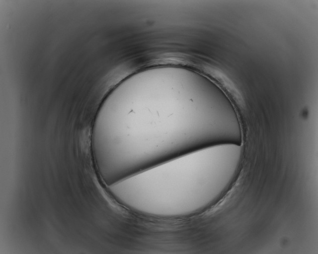X0000102481233200808081025