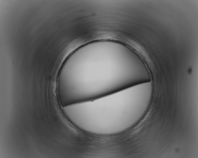 X0000102481234200808081025