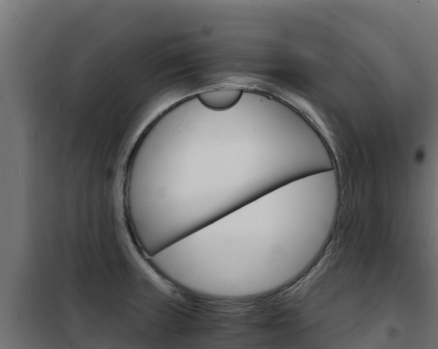 X0000102481235200808081025