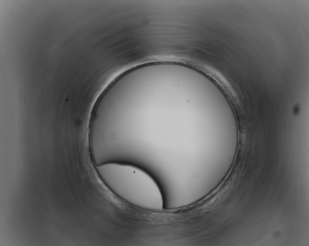 X0000102481236200808081025