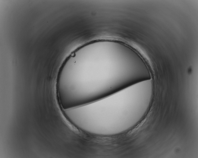 X0000102481237200808081025