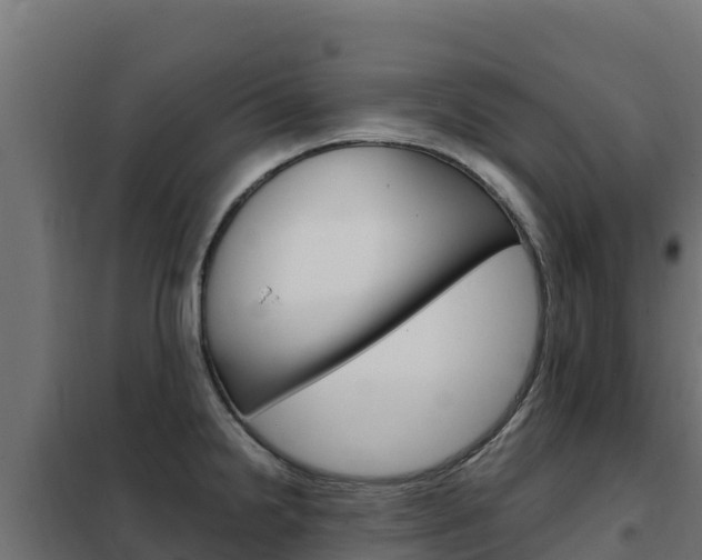 X0000102481238200808081025