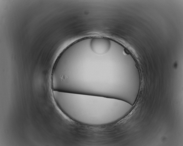 X0000102481239200808081025