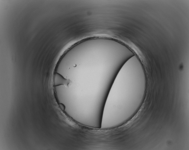 X0000102481240200808081025