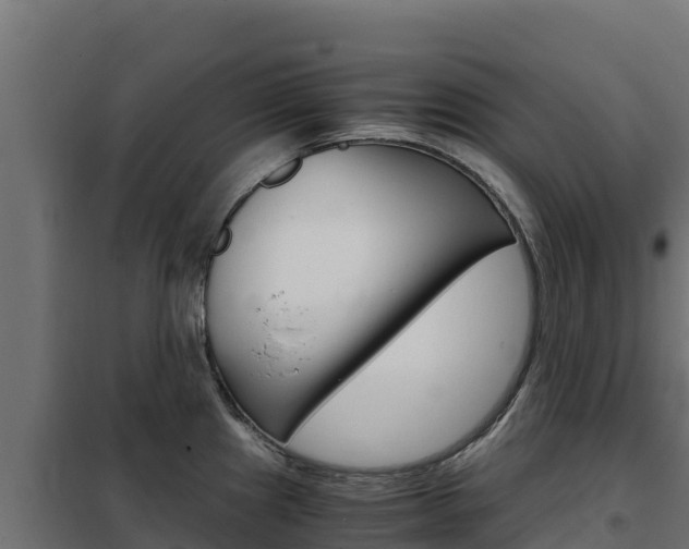 X0000102481241200808081025