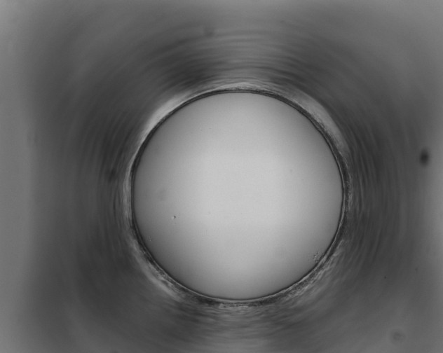 X0000102481242200808081025