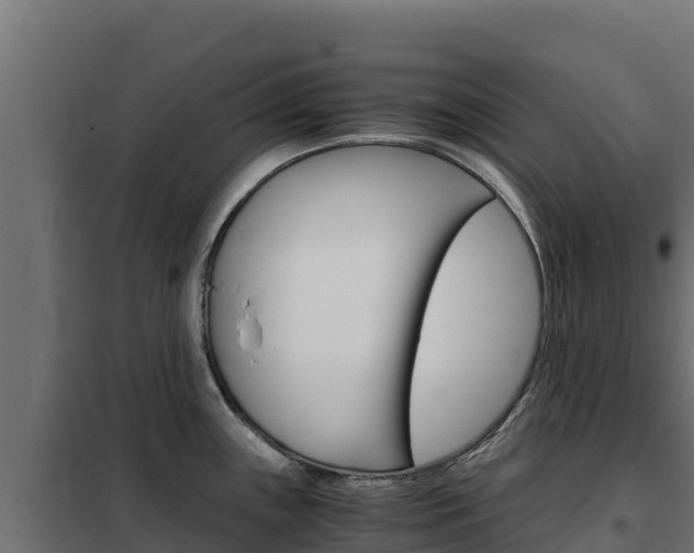 X0000102481243200808081025
