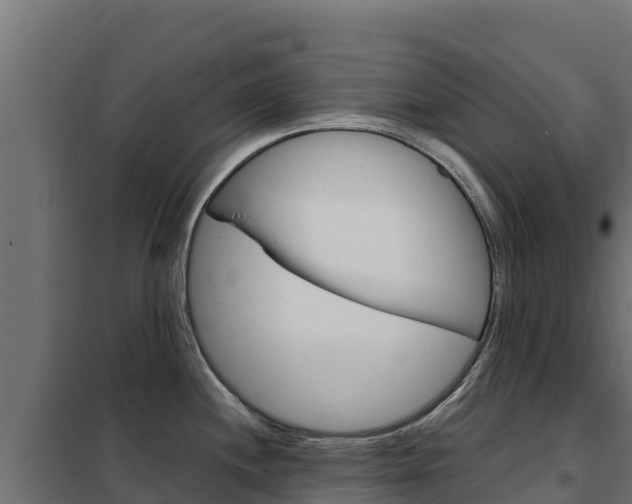 X0000102481244200808081025