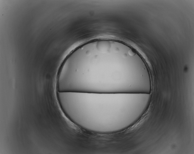X0000102481245200808081025