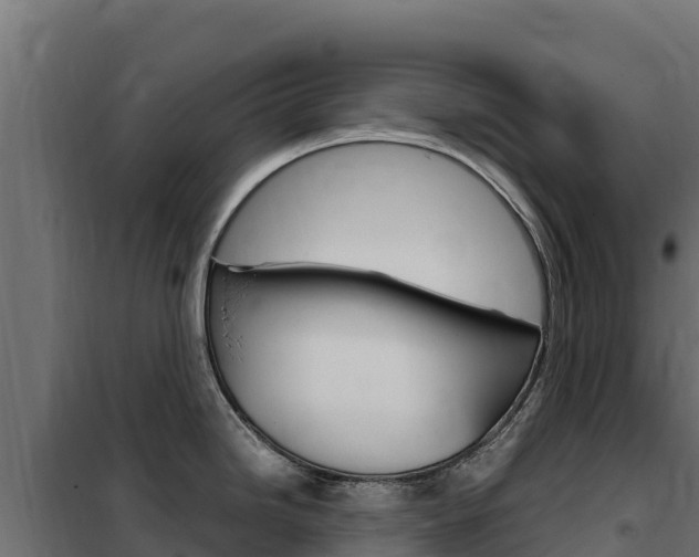 X0000102481246200808081025