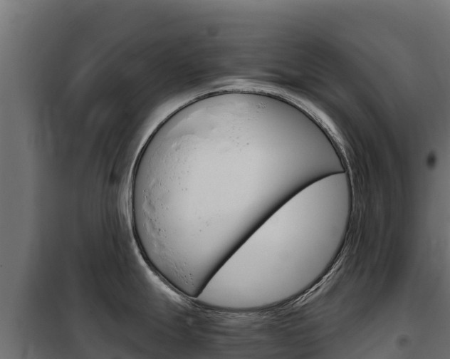 X0000102481247200808081025