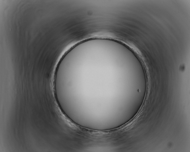 X0000102481248200808081025