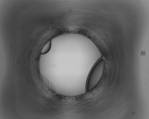 X0000102481249200808081025