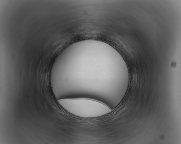 X0000102481250200808081025