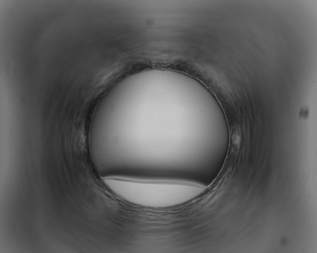 X0000102481252200808081025