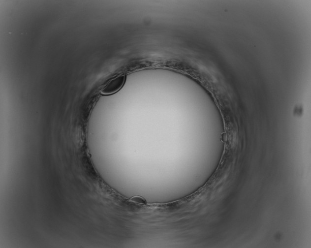X0000102481253200808081025