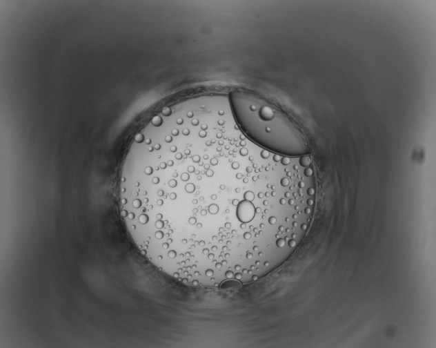 X0000102481255200808081025