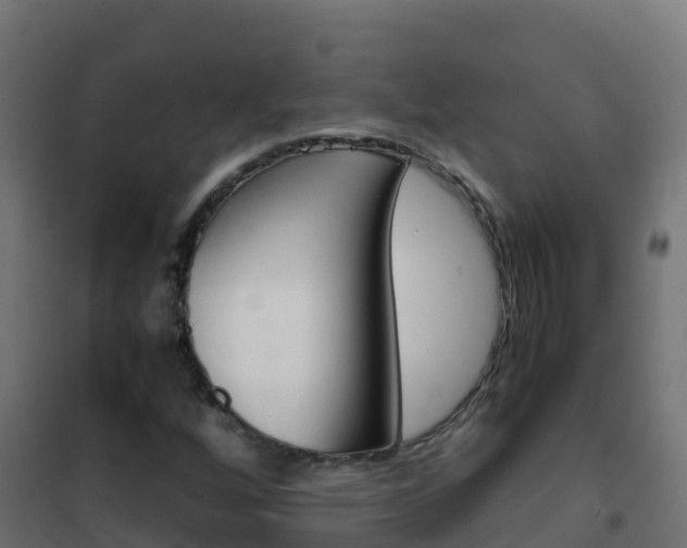 X0000102481256200808081025
