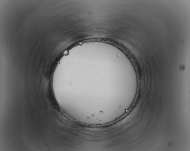 X0000102481257200808081025