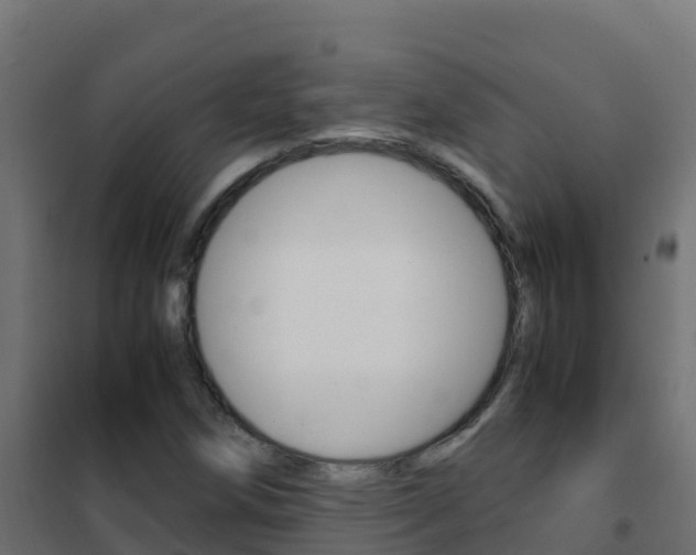 X0000102481258200808081024