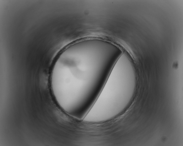 X0000102481260200808081024