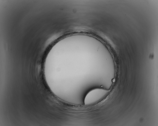 X0000102481261200808081024