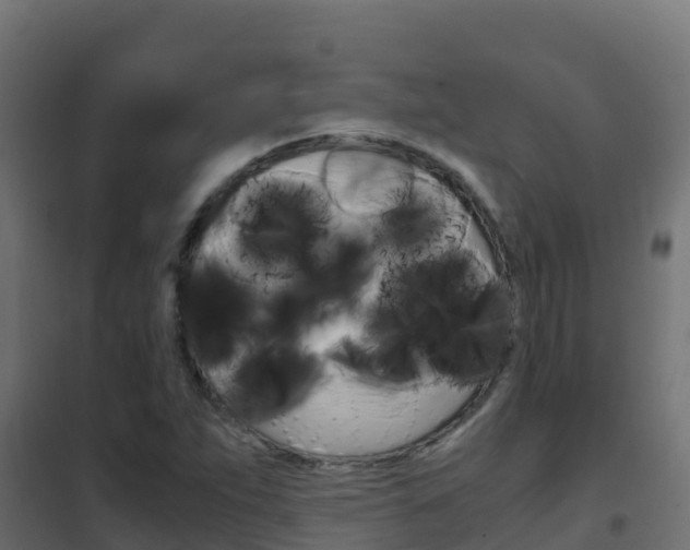 X0000102481263200808081024