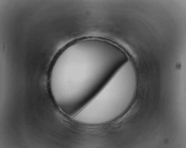 X0000102481264200808081024