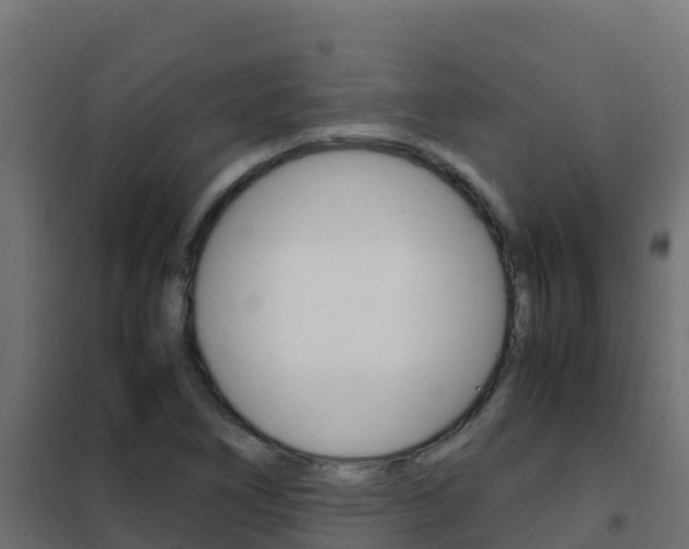X0000102481266200808081024